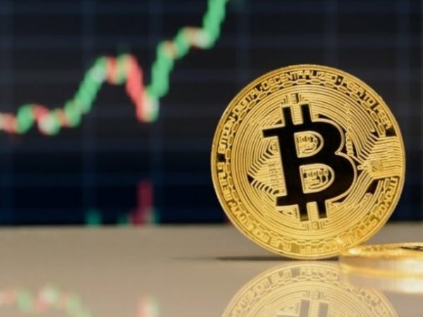 Заработок на пампах криптовалют: Что предлагает проект Crypto Pump Signals