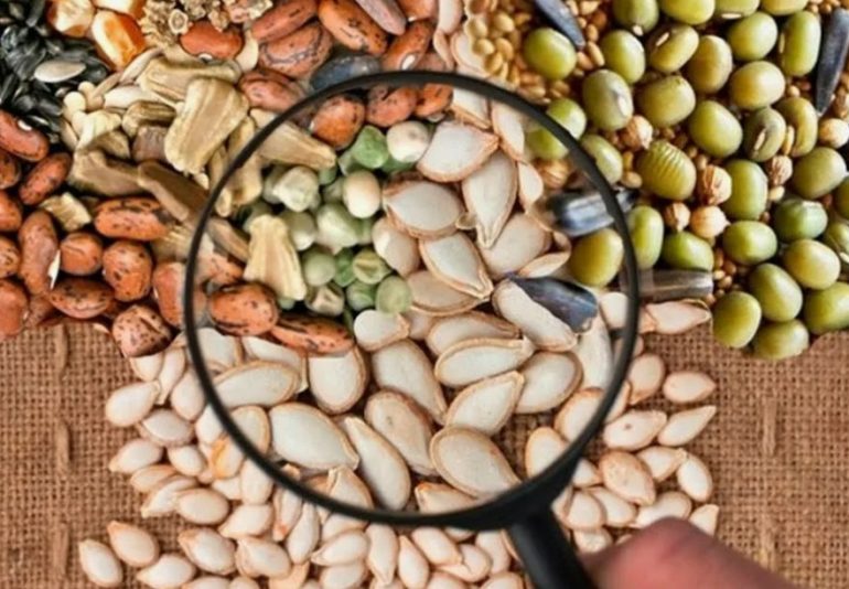 Пять заблуждений о покупке семян в Интернете: что на самом деле показывают отзывы про Семяныч