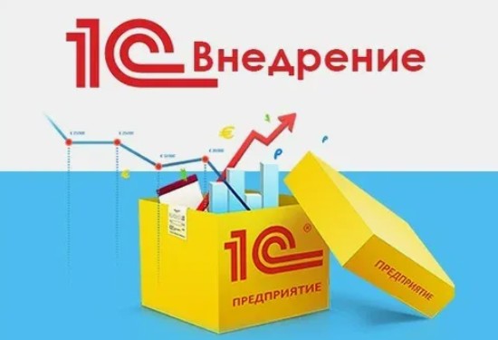 Цифровизация учета: с чего начать внедрение 1С на предприятии